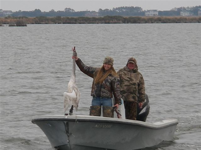 Weekly Updates Outer Banks Duck Hunting